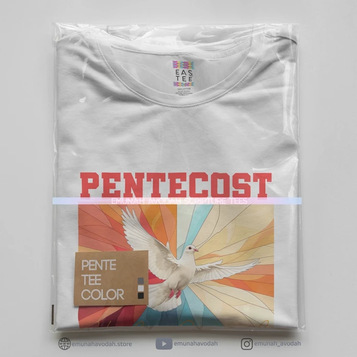 Elegant T-Shirt inspired by Luke 3:21-22 - Image 2